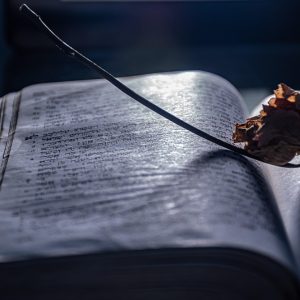 编辑老周的工作照，正在查看成绩查询页面的实测截图，桌上摊着打印出来的步骤清单，环境安静，透着老派认真